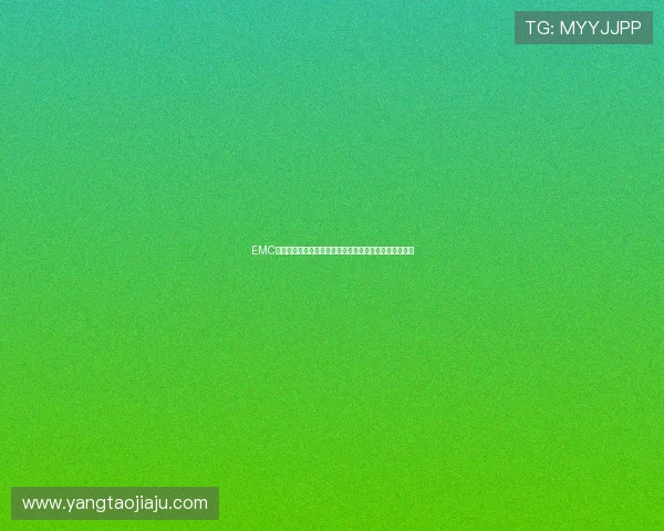 EMC体育官方网站全新体验打造专业运动资讯与赛事互动平台 EMC体育官方网站全新体验打造专业运动资讯与赛事互动平台